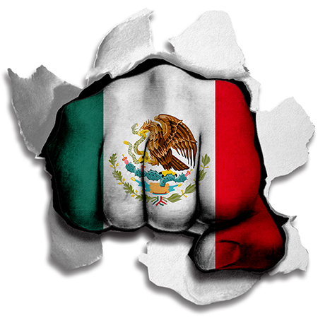 Fist Mexico Flag Logo vinyl decal